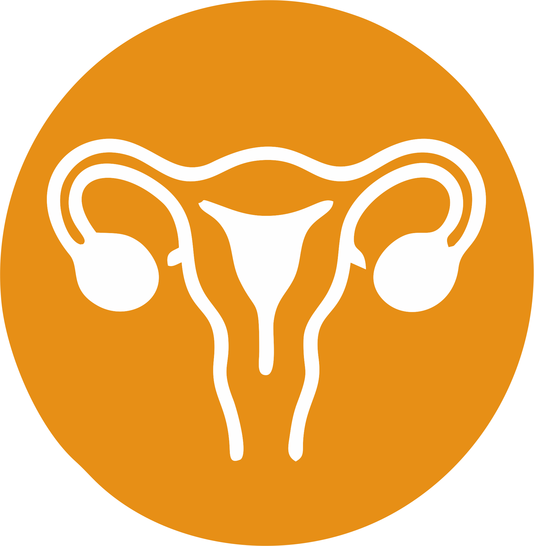 Gynecology & Laparoscopy Surgery